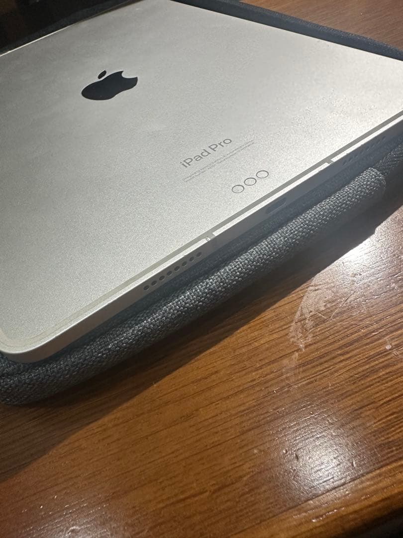 M2 iPad Pro 11 インチ 第4世代 256g セルラーモデル