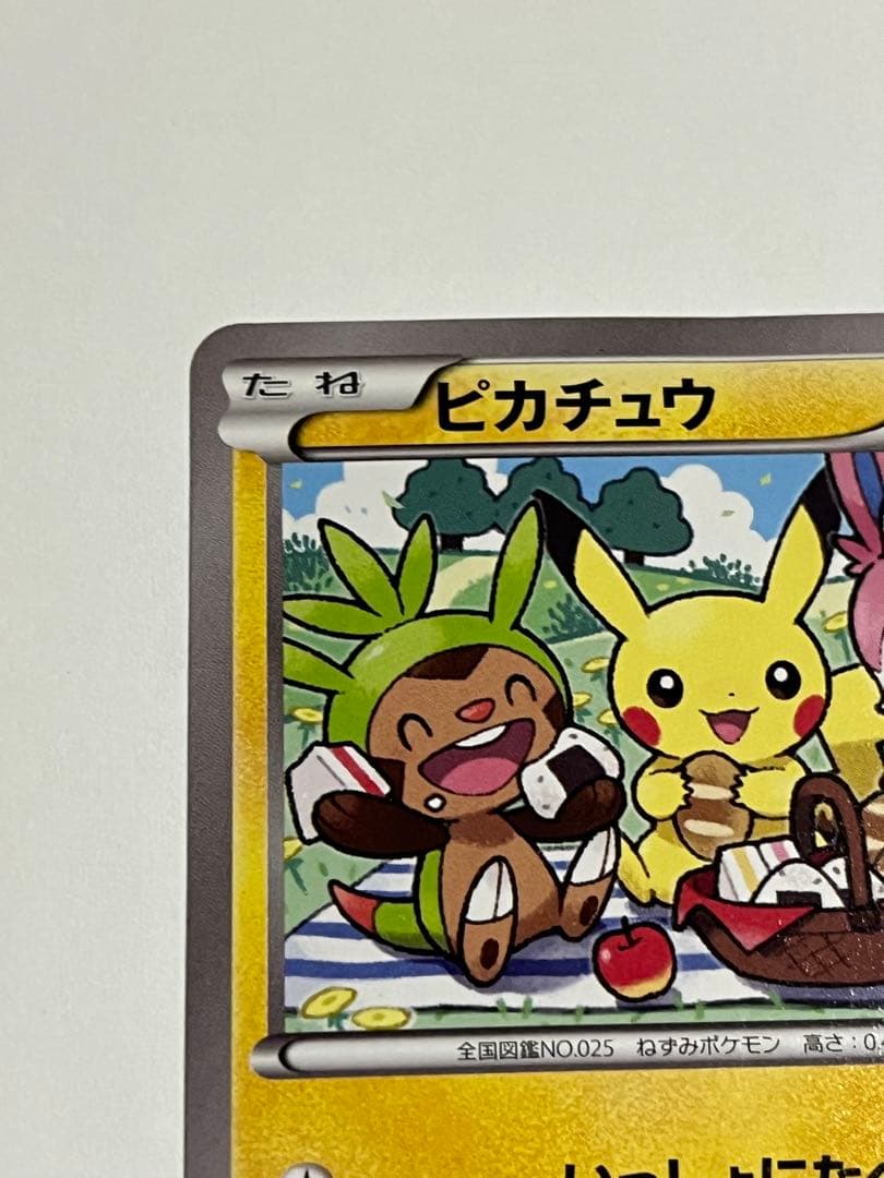 ピカチュウ　いっしょにたべよ　154/xy-p