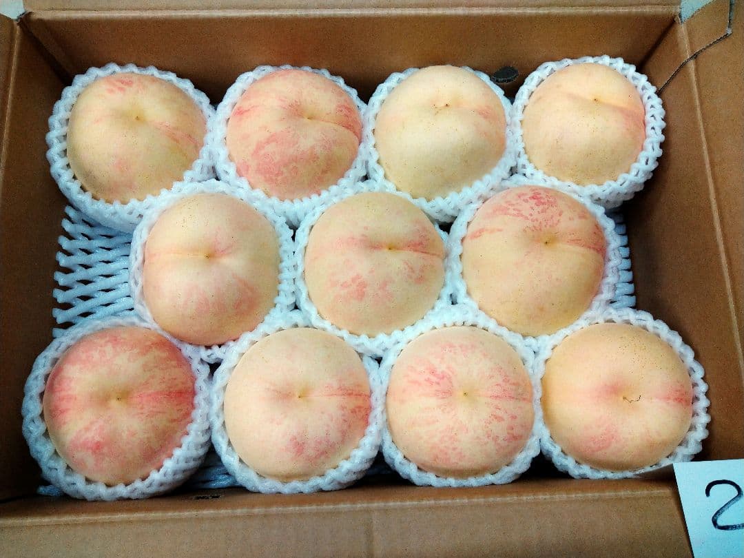 硬い桃(CX／シーエックス)JAふくしま未来11玉②