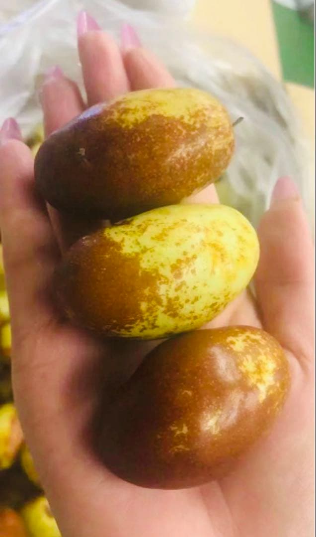 今秋新品入荷☆常温発送【新鮮なつめ約2000g】日本国産新鮮脆冬棗