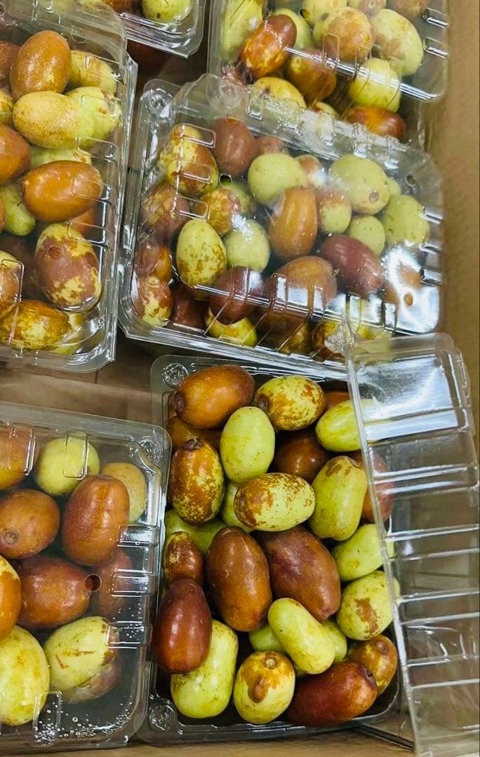 今秋新品入荷☆常温発送【新鮮なつめ約2000g】日本国産新鮮脆冬棗