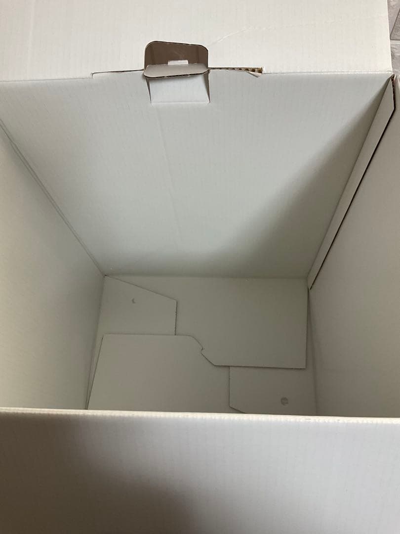 BIOPTRON Pro1 バイオプトロン 光美容器 カバーケース付