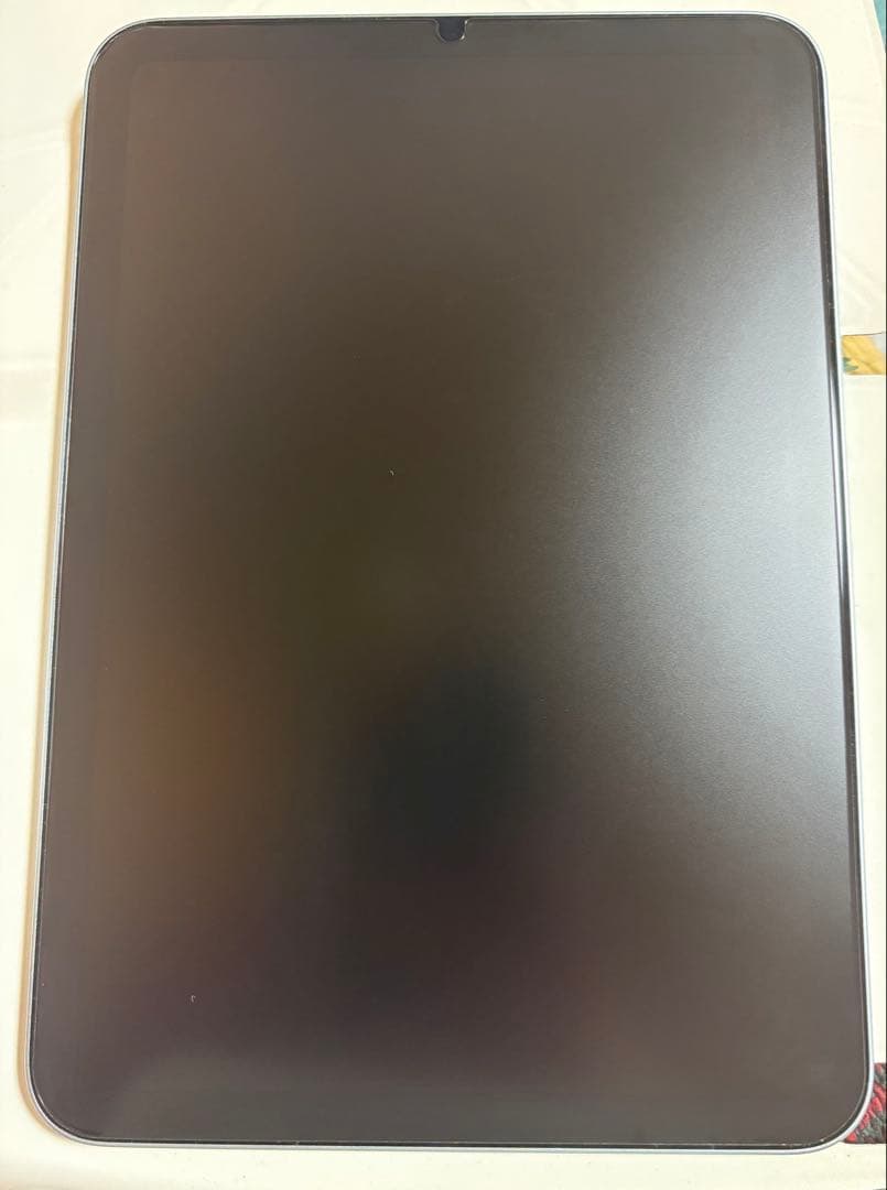 Apple iPad mini ブルー 128GB