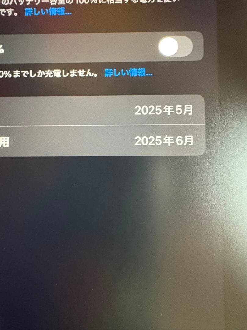 Apple iPad mini ブルー 128GB