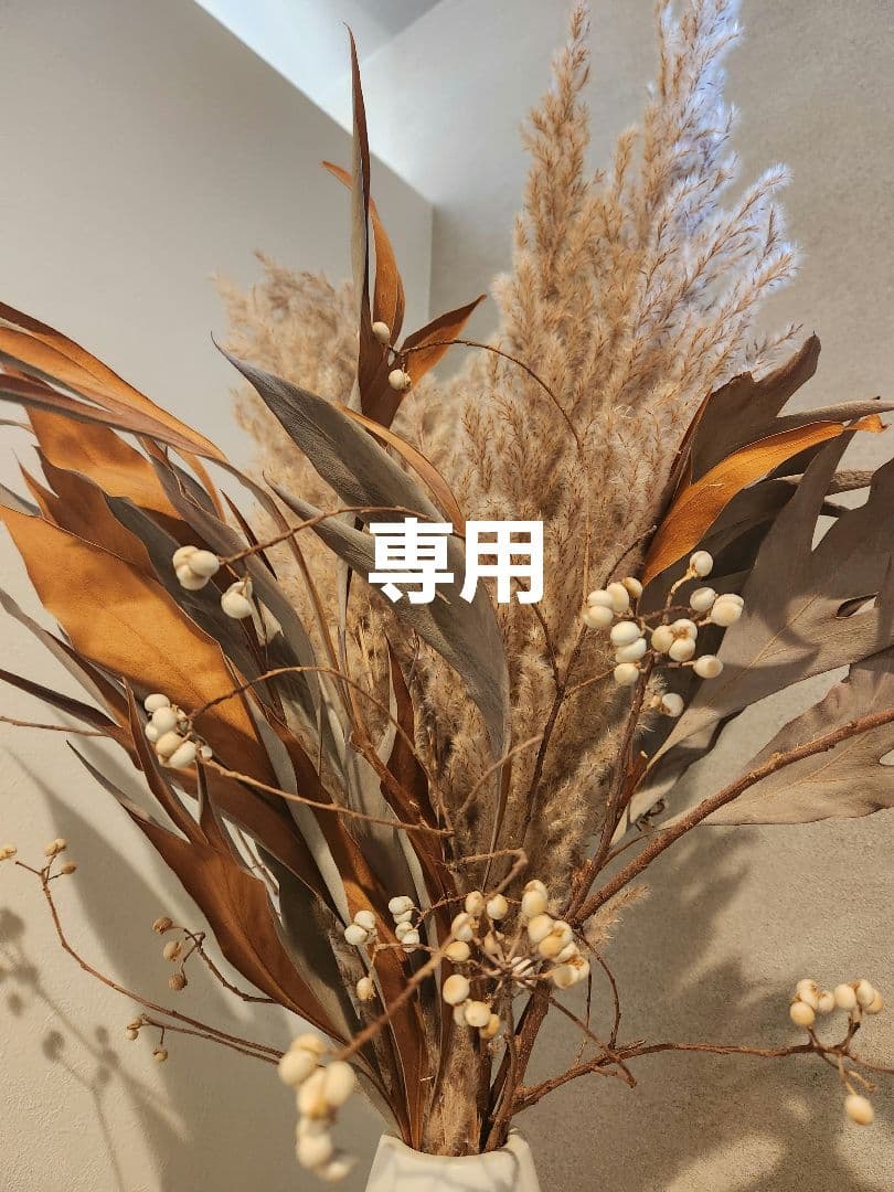 専用ページです。POLAライトセレクター