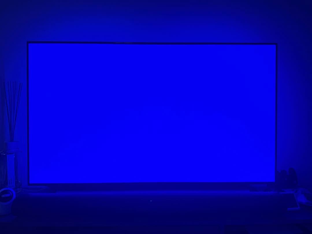 LG 有機ELテレビ OLED55C9PJA 55インチ 4K対応