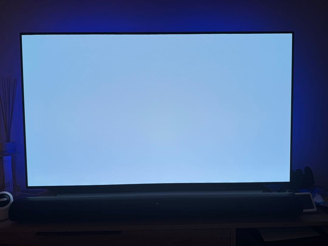 LG 有機ELテレビ OLED55C9PJA 55インチ 4K対応