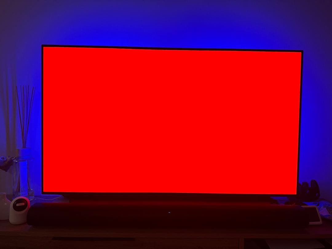 LG 有機ELテレビ OLED55C9PJA 55インチ 4K対応