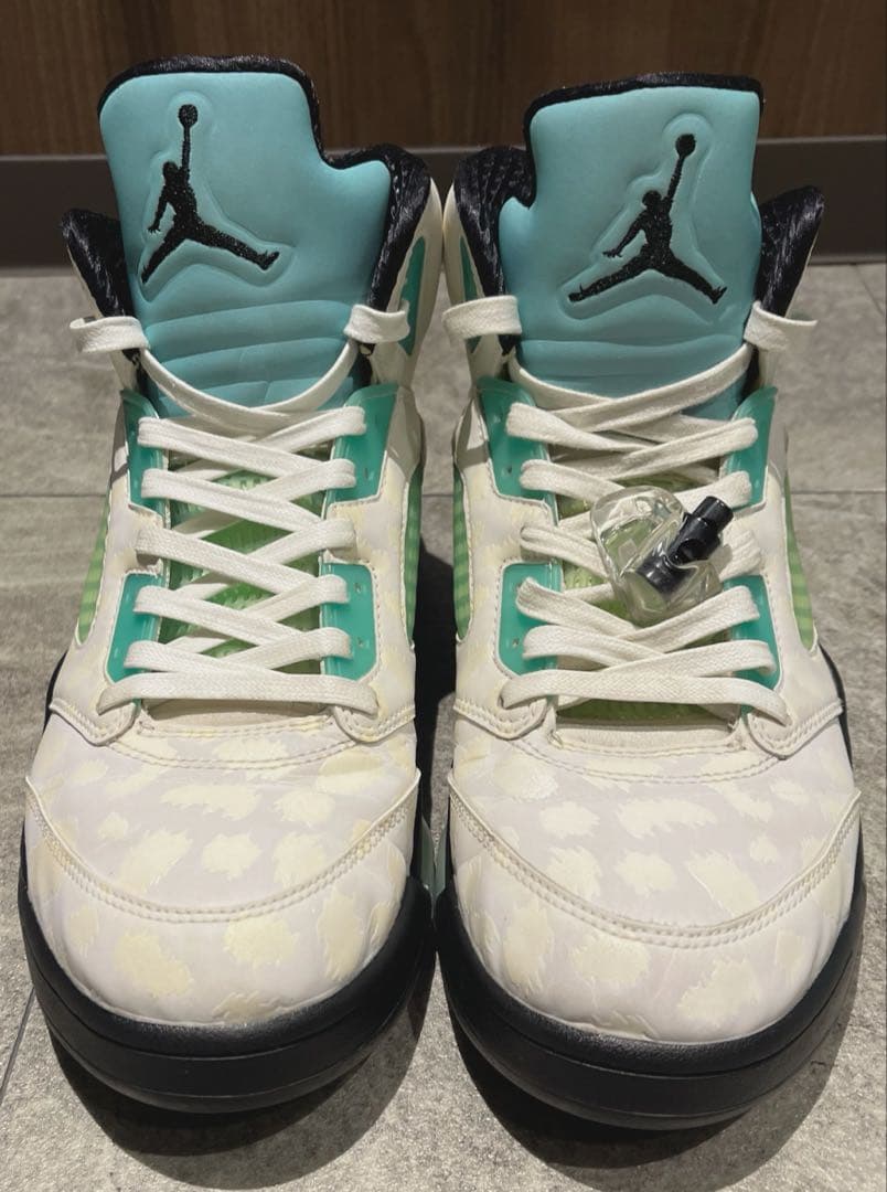 レア　AIR ジョーダン　NIKE ジョーダン5