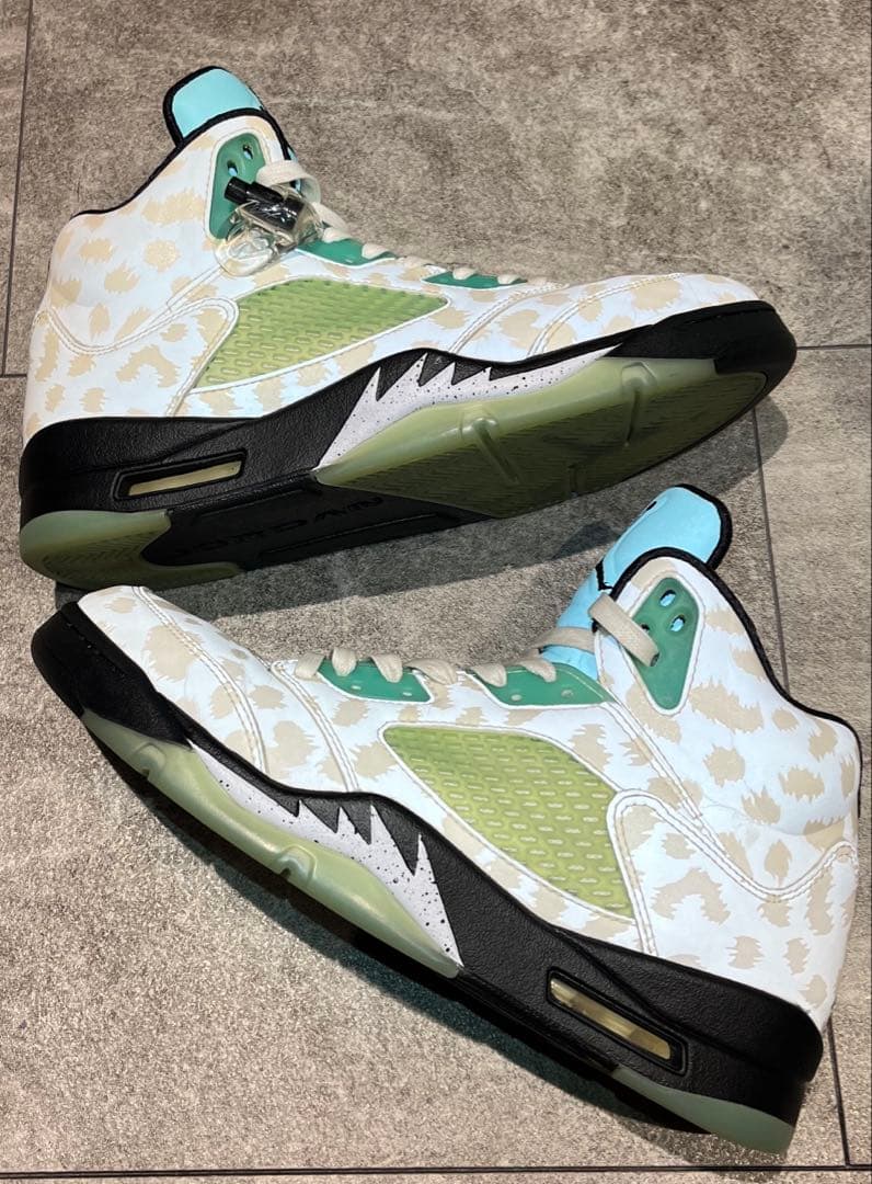 レア　AIR ジョーダン　NIKE ジョーダン5