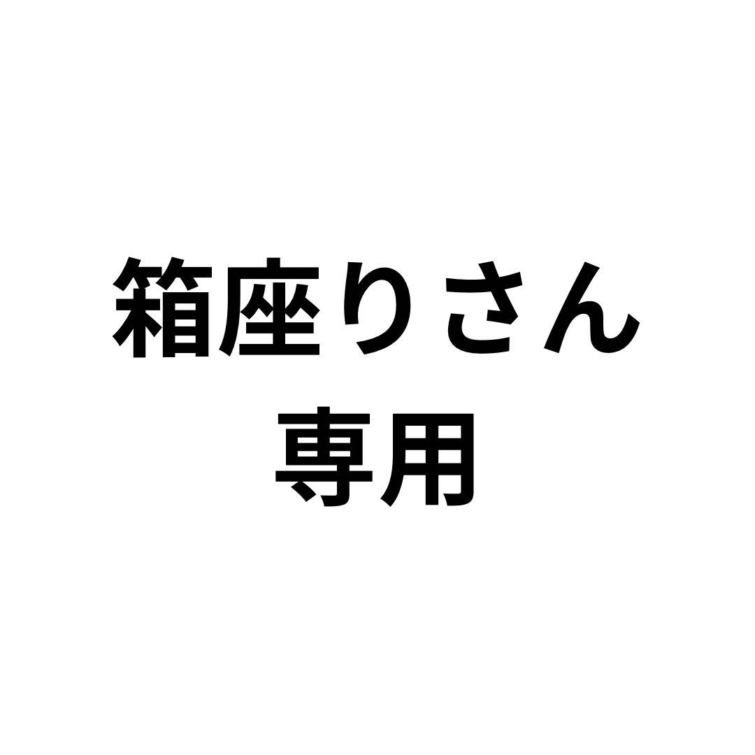 KARCHER JTKサイレントプラス　開封後未使用品