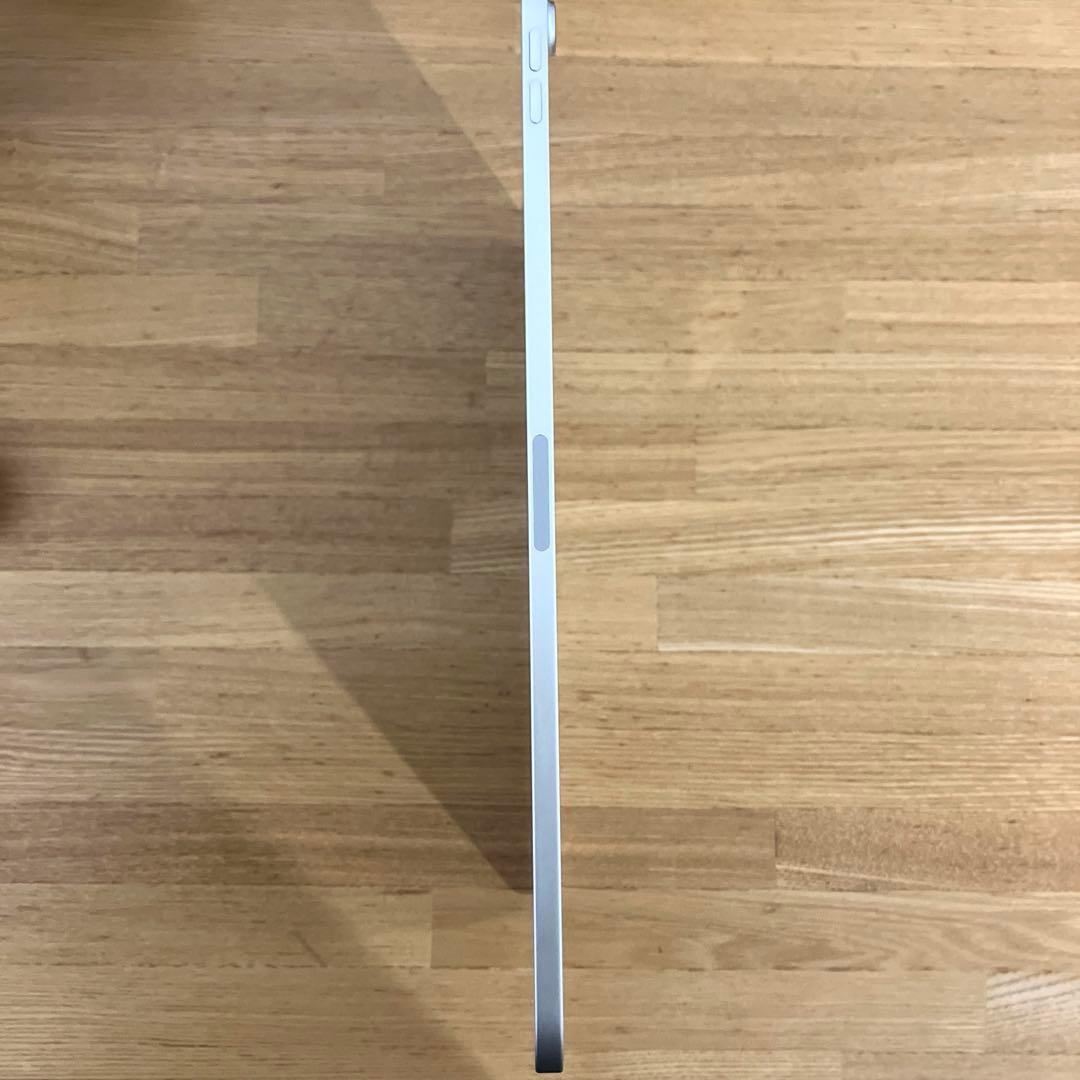 iPad Pro 11インチ (第1世代) 256GB