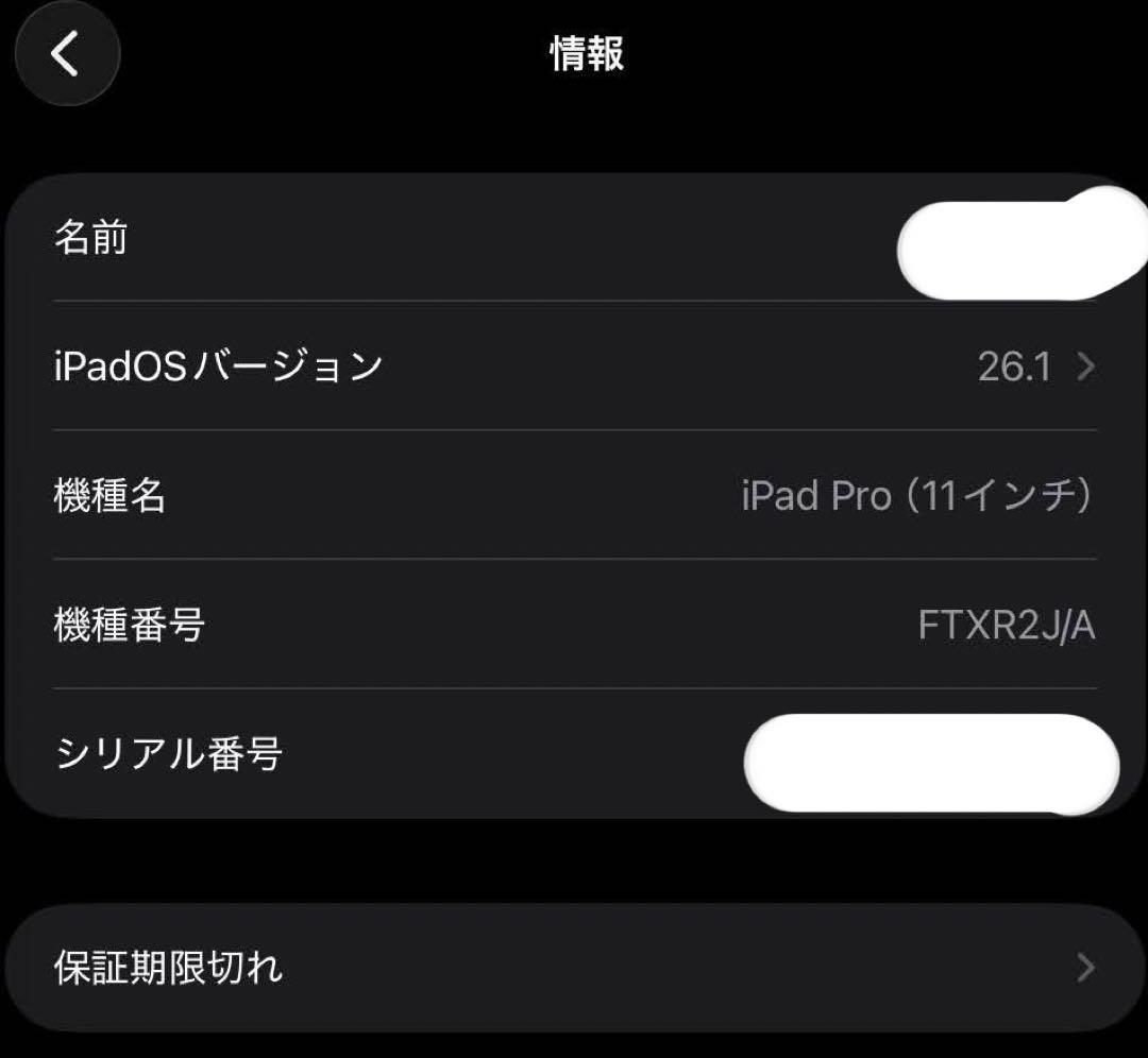 iPad Pro 11インチ (第1世代) 256GB