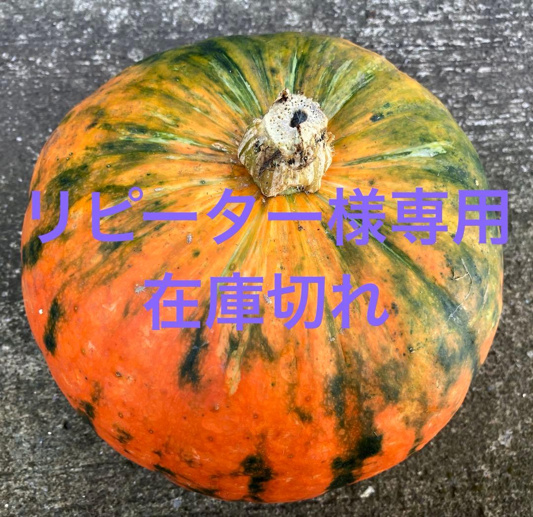 リピーター　カボチャ３kg