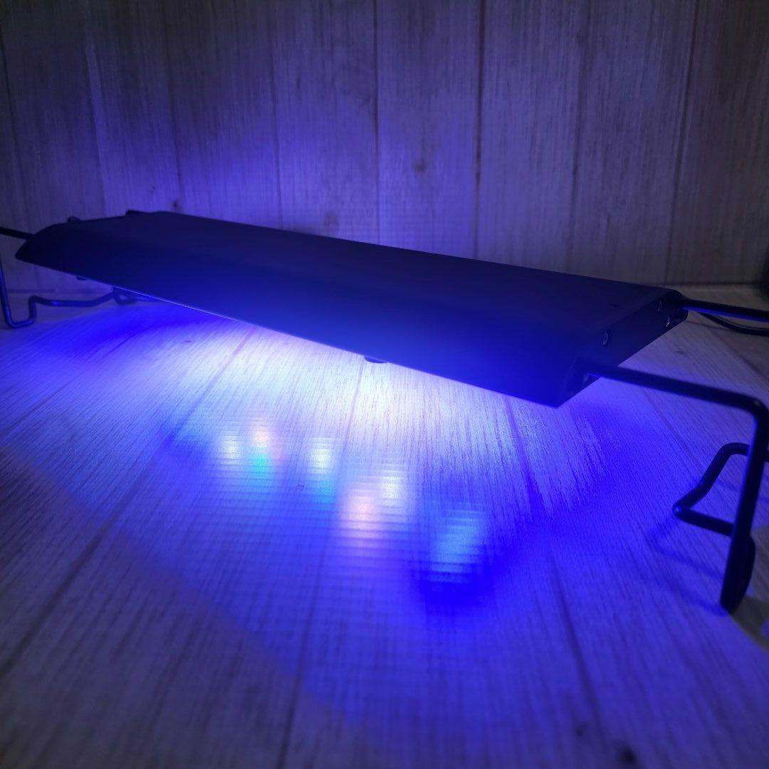 グラッシーウイング２　マリン　30㎝　アプリ対応LEDライト　海水魚　珊瑚育成