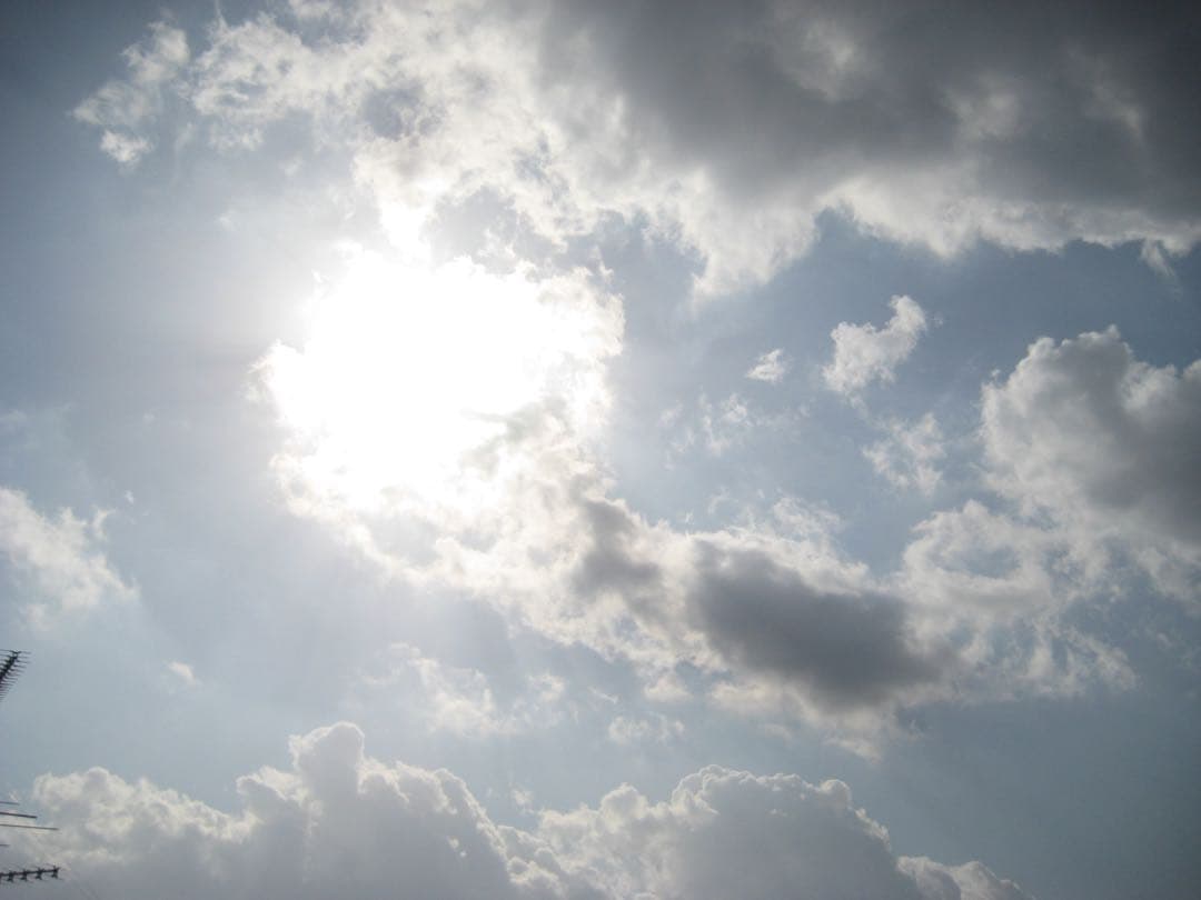 キャノン IXY Digital 10 デジタル カメラ