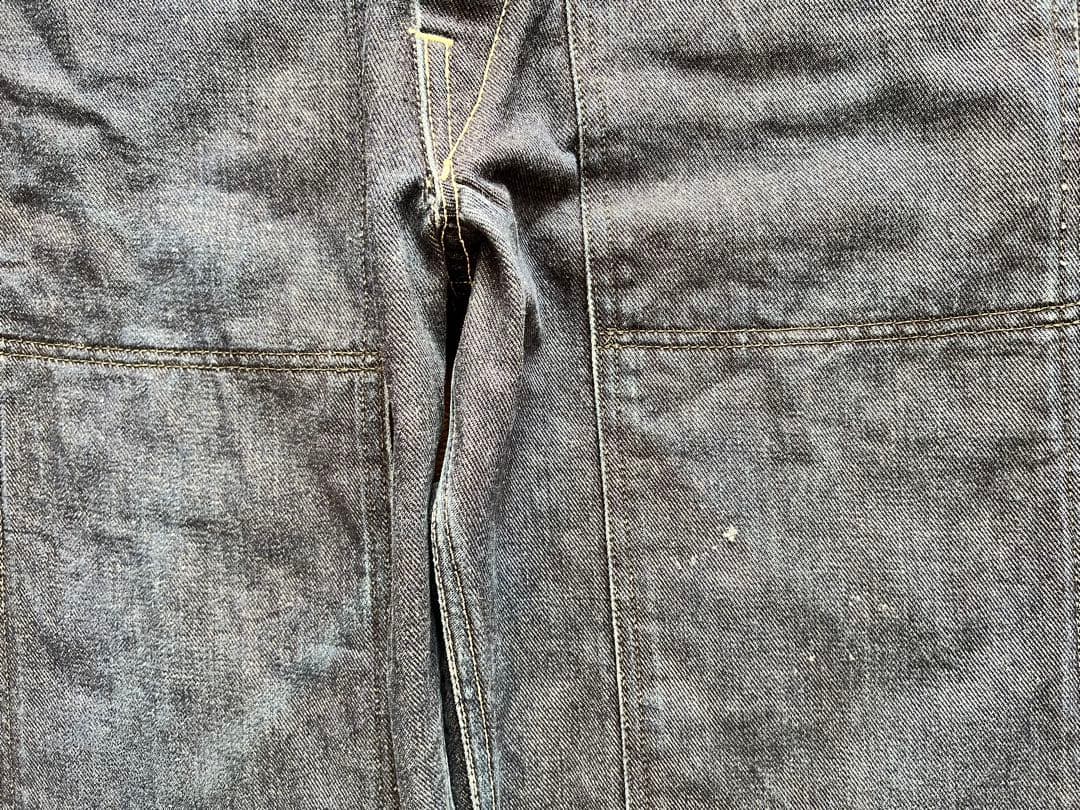 【希少】EVIS エヴィス　初期タグ　ダブルニー　オーバーオール　カモメ