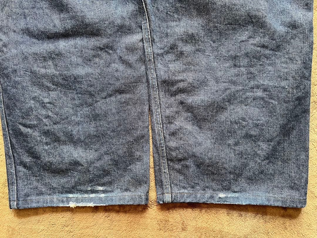 【希少】EVIS エヴィス　初期タグ　ダブルニー　オーバーオール　カモメ