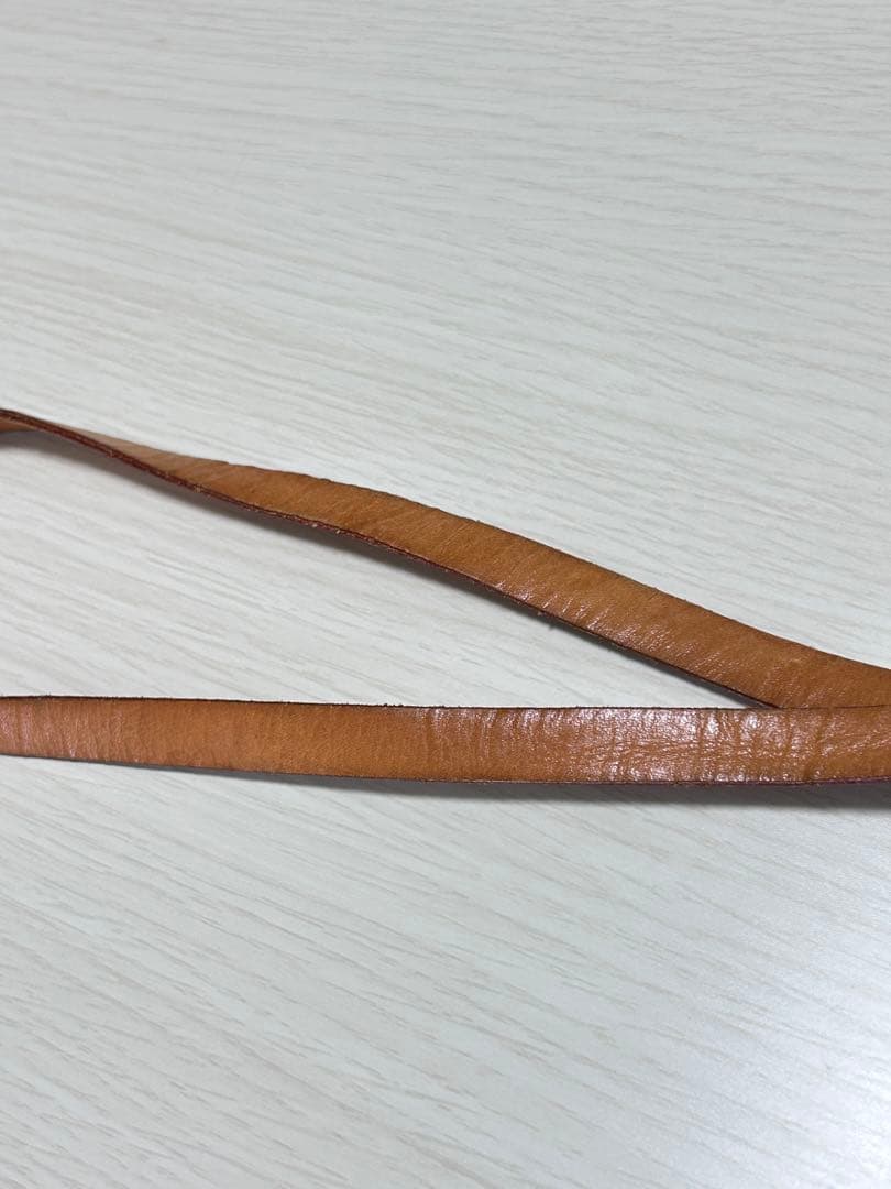 (ポッキー様)ルイヴィトン フロランティーヌ ウエストポーチ