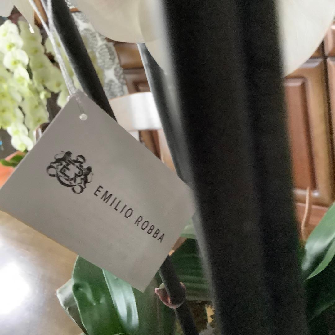 エミリオロバ　胡蝶蘭と多肉　専用です