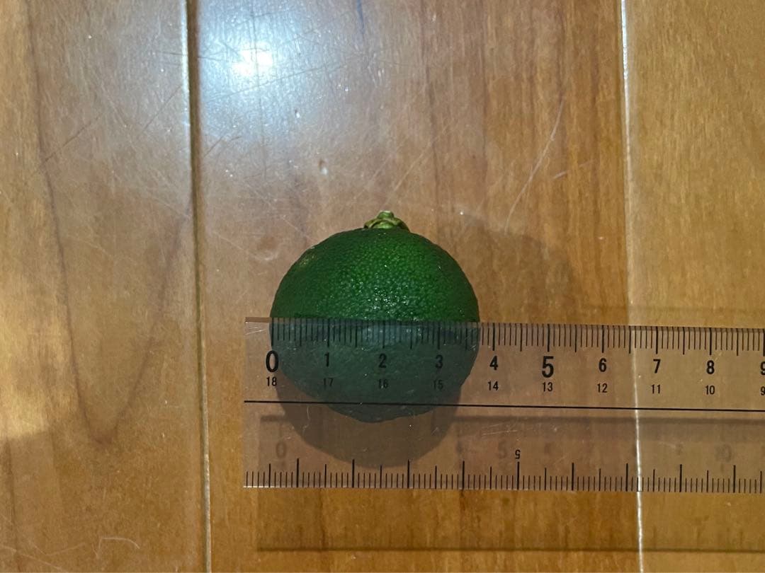 青柚子　花柚子　約15キロ