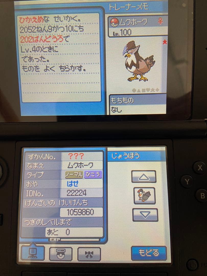 ポケットモンスター ハートゴールド　ソウルシルバー