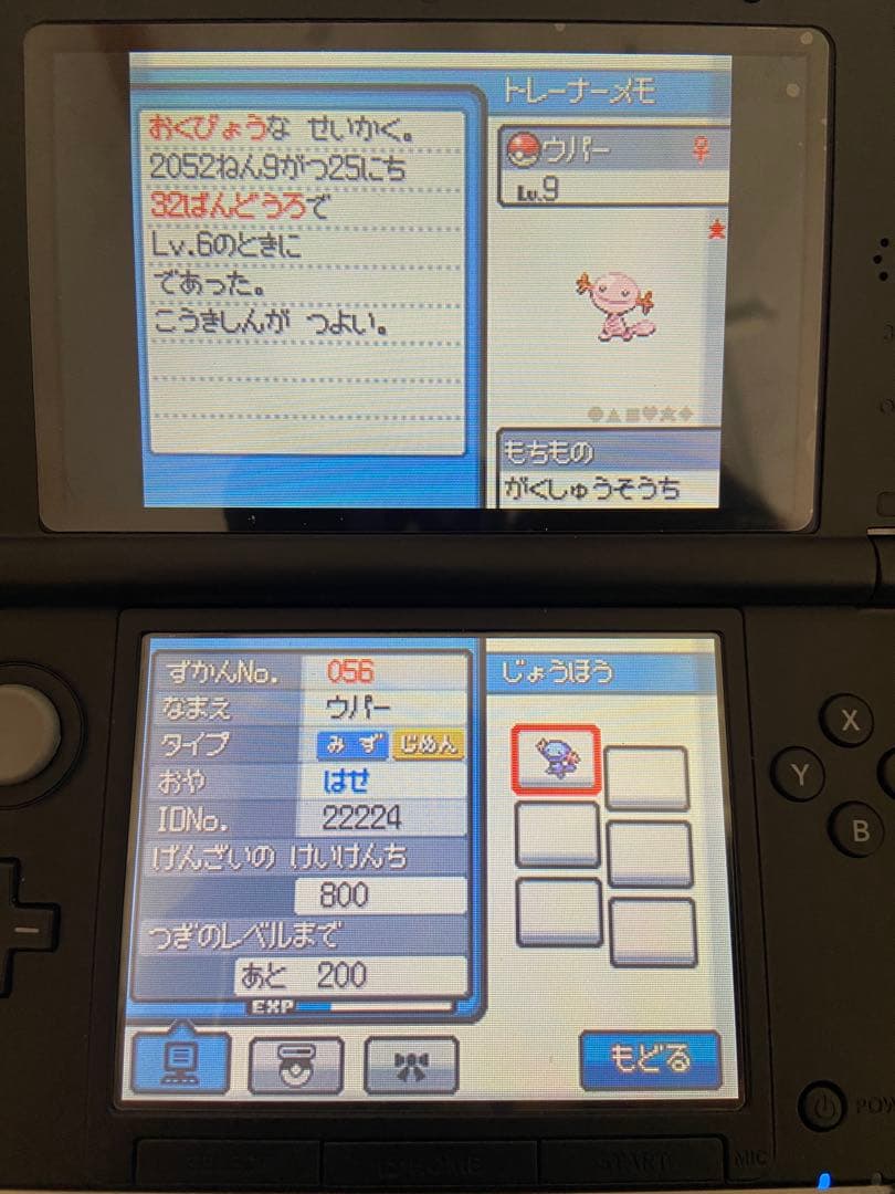 ポケットモンスター ハートゴールド　ソウルシルバー