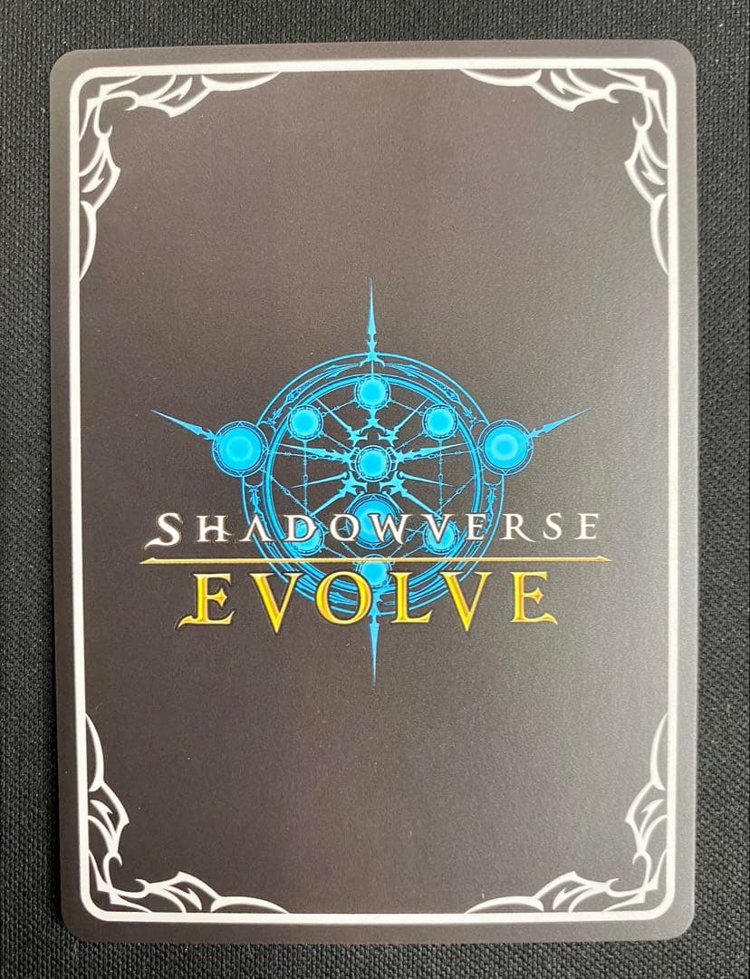 コッコロ SP 進化後 1枚