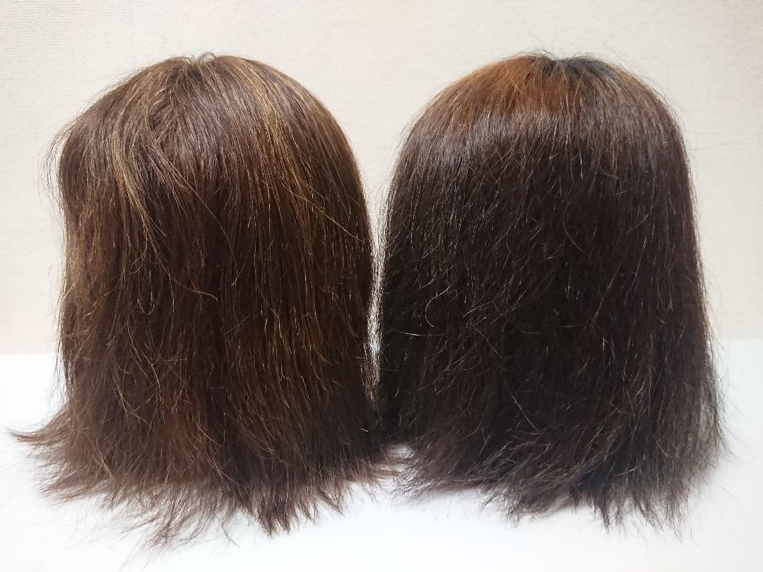 練習用ウィッグ 7体