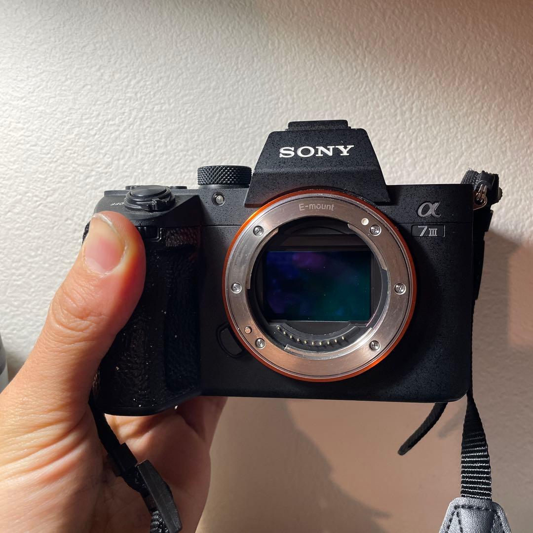 Sony α7Ⅲ Sigmaレンズセット バラ売り対応