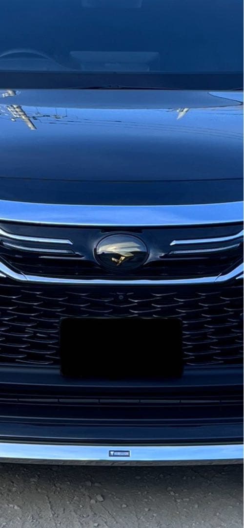 80ハリアー チュウヒエンブレム