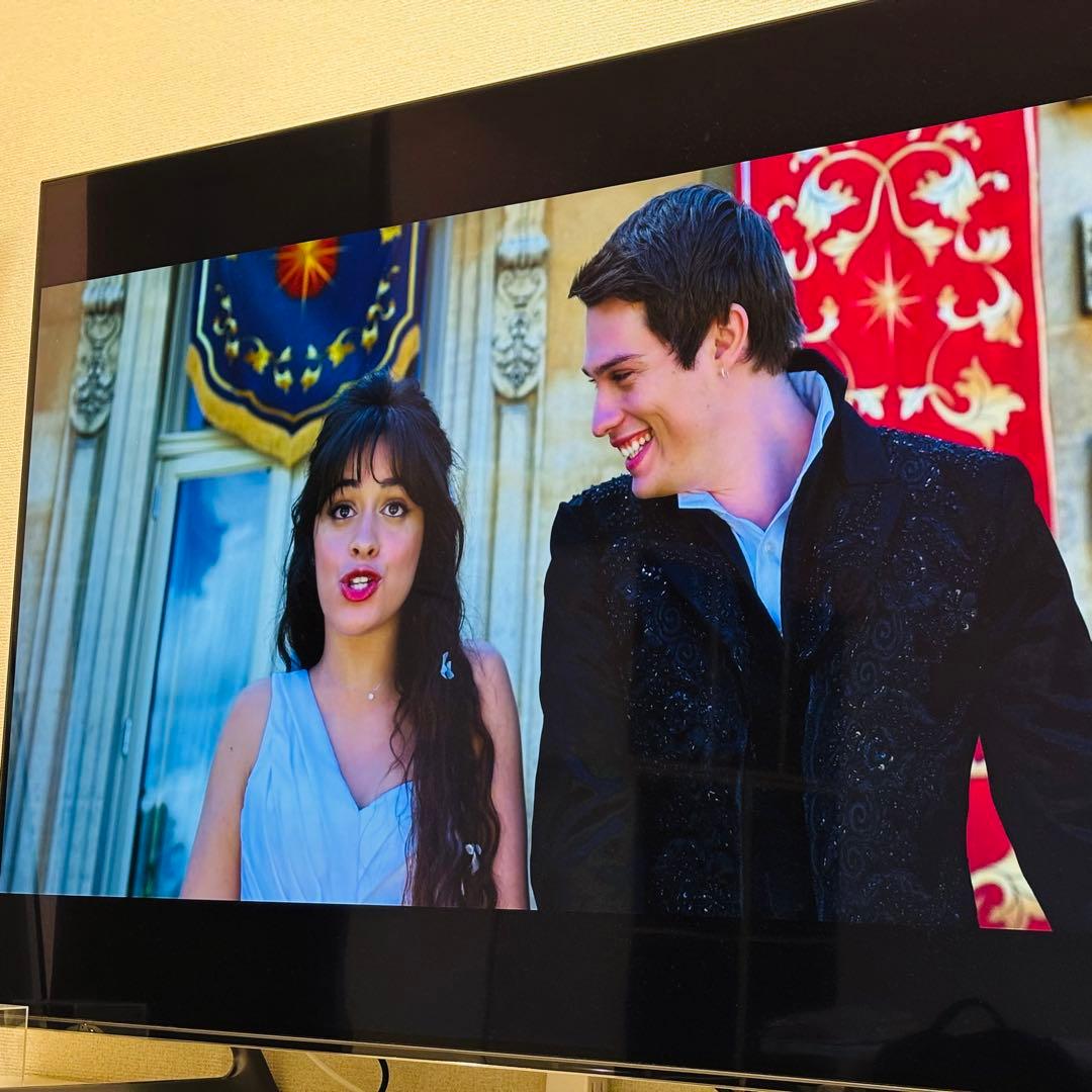 【美品】Hisense ハイセンス 65X8F 4K有機ELテレビ 65インチ