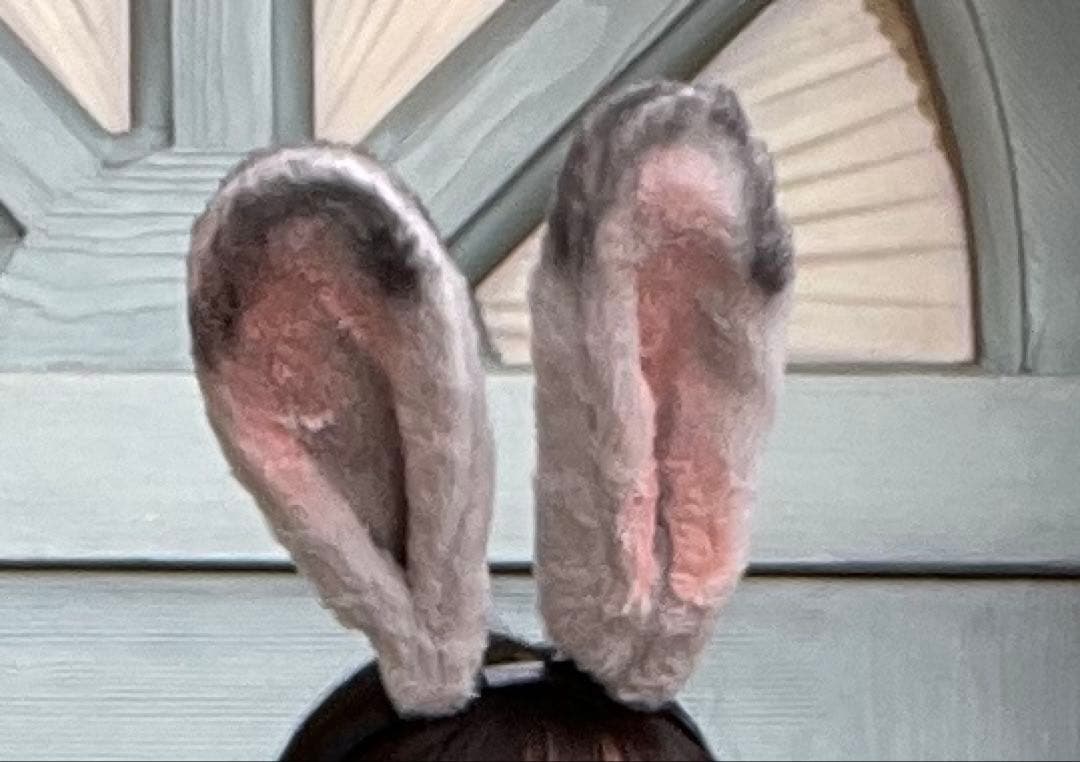 Dハロ　ジュディコスプレ　セット