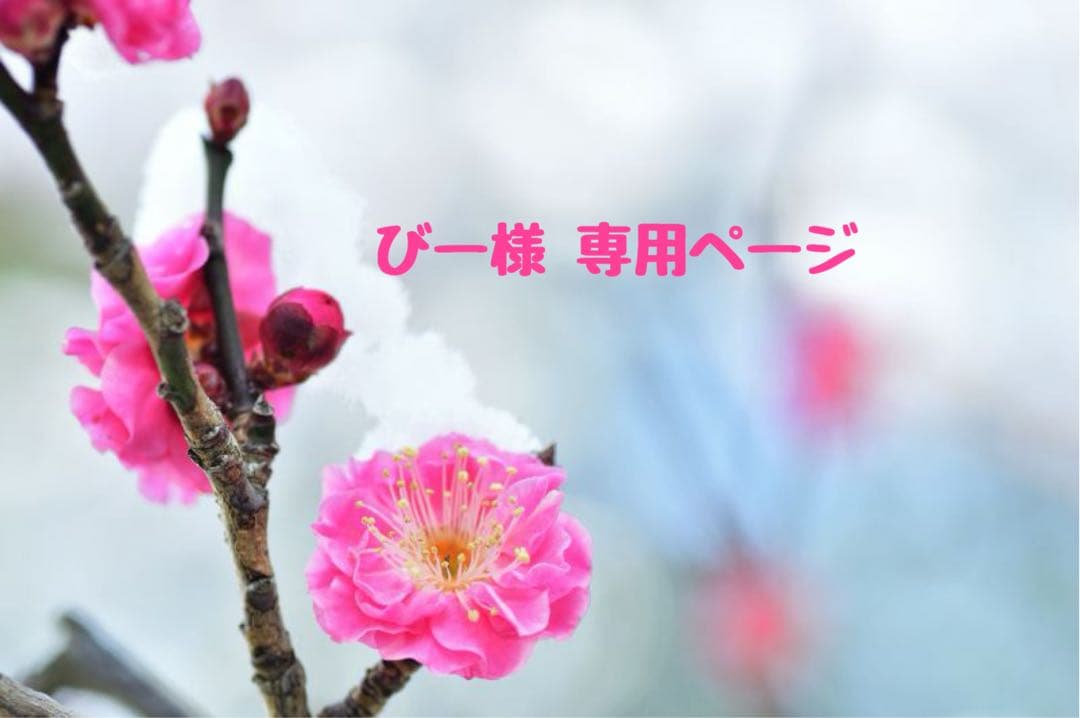 びー様 ♡ 専用ページ