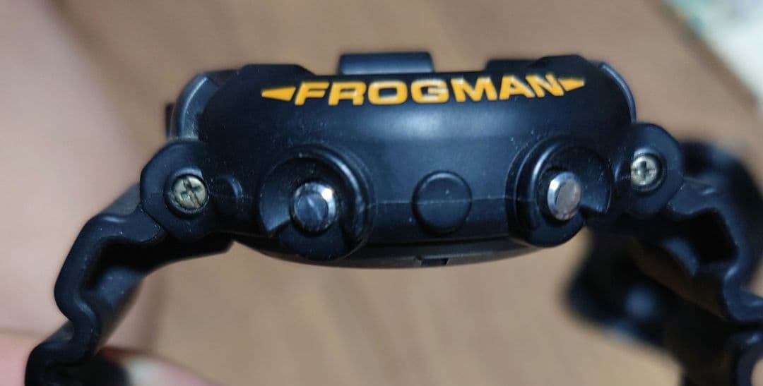 G-SHOCK フロッグマン　MEN IN BLACK 2 DW-8200