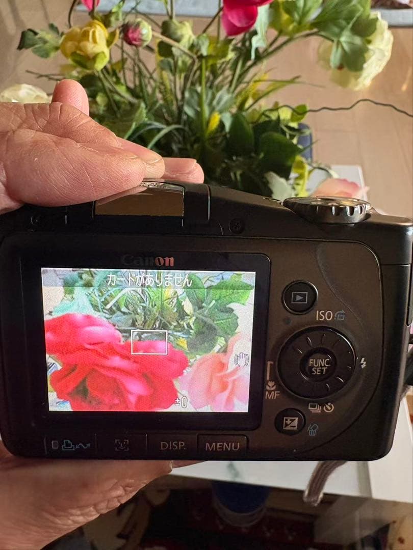 Canon　PowerShot　SX100IS （ケース付）