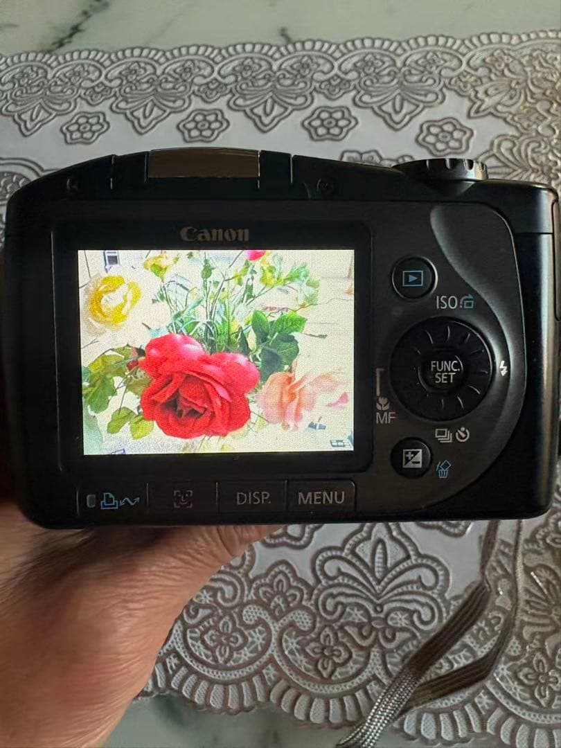 Canon　PowerShot　SX100IS （ケース付）