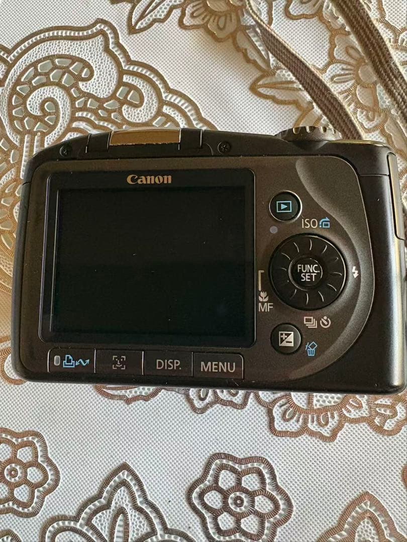 Canon　PowerShot　SX100IS （ケース付）