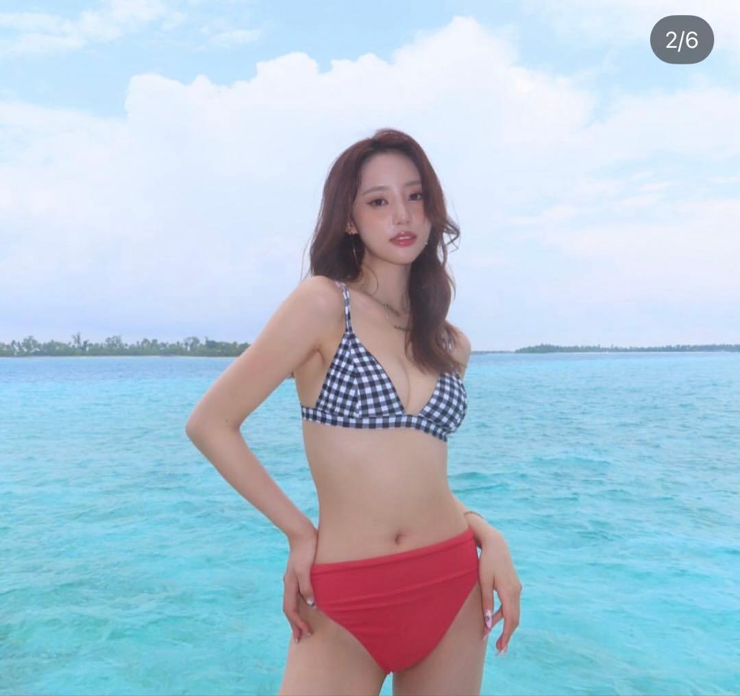 タグあり/ALEXIA STAM セパレート水着