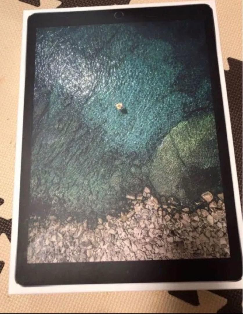 iPad Pro(12.9)第2世代64GB + applePencil第1世代