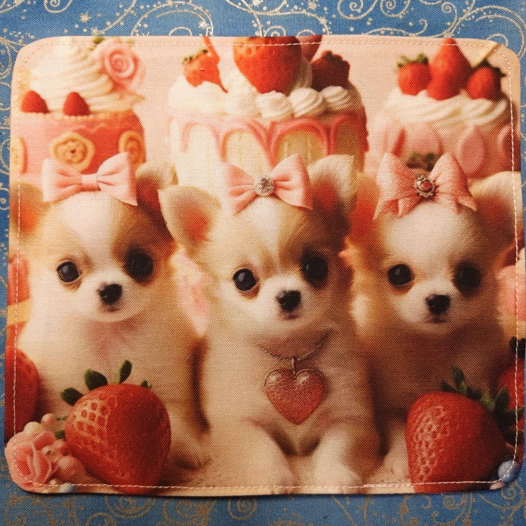 ご確認用　あしべ☆　ハンカチ　ねこちゃん　チワワ柄　21枚