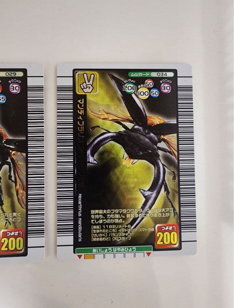 ムシキング　2005夏限定バージョン　タランドゥスツヤクワガタ他