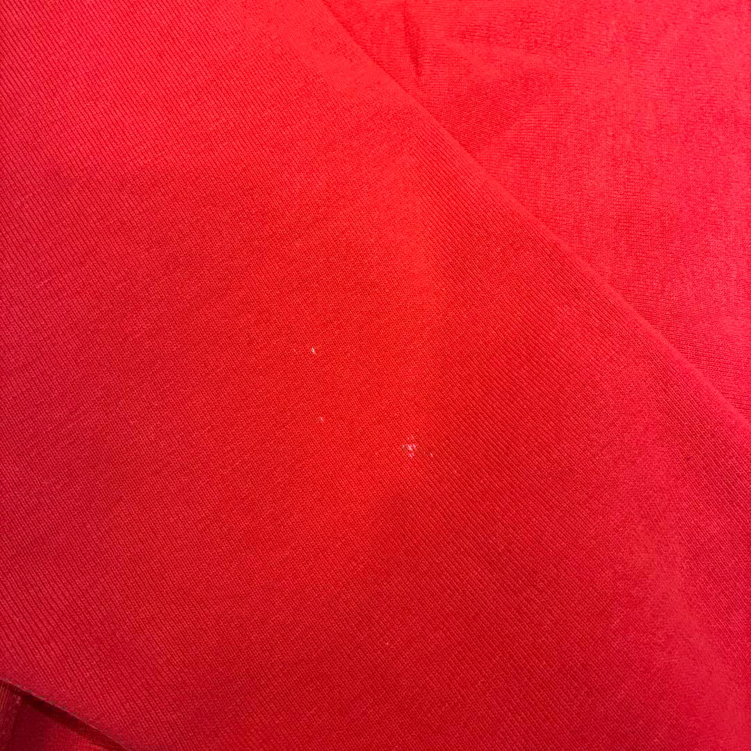 米国製 Champion 90s リバースウィーブ ヴィンテージ 赤 青目