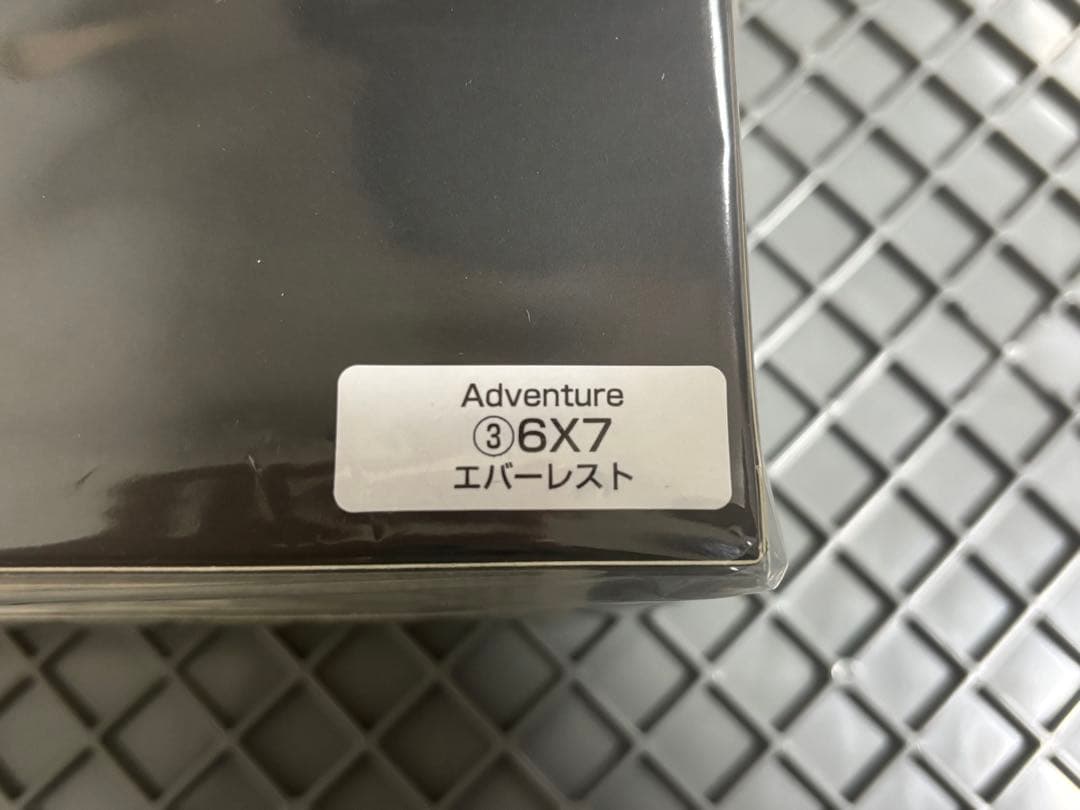 3 新型RAV4 カラーサンプル Adventure エバーレスト