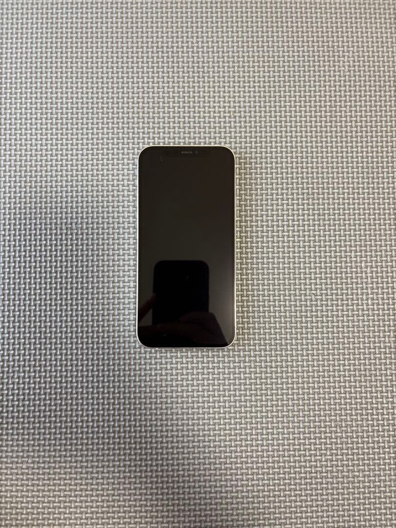 【‼️ほぼ未使用‼️】iPhone12 Pro