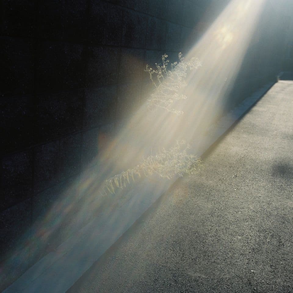 ROLLEIFLEX 3.5F Planar ＋ ローライナーⅢ