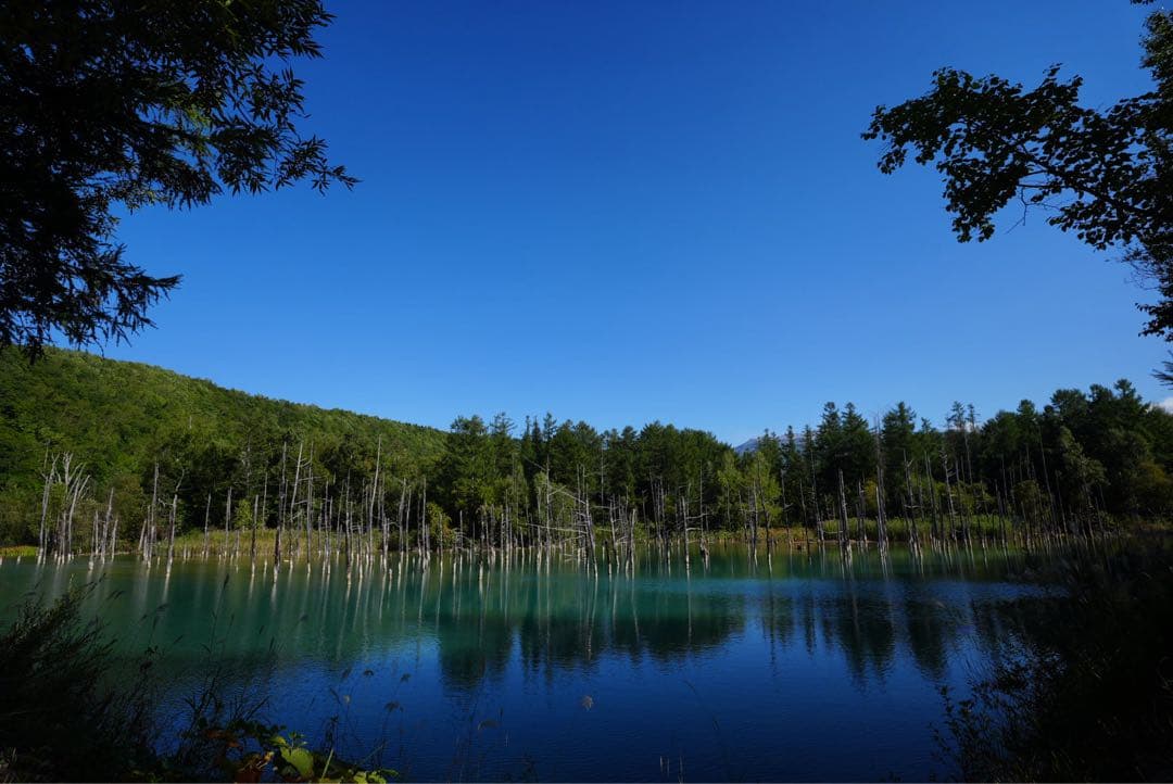 超美品! TAMRON 超広角 11-20mm F/2.8 SONY Eマウント