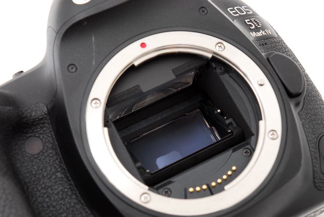 保証付き Canon EOS 5D Mark IV望遠レンズセット