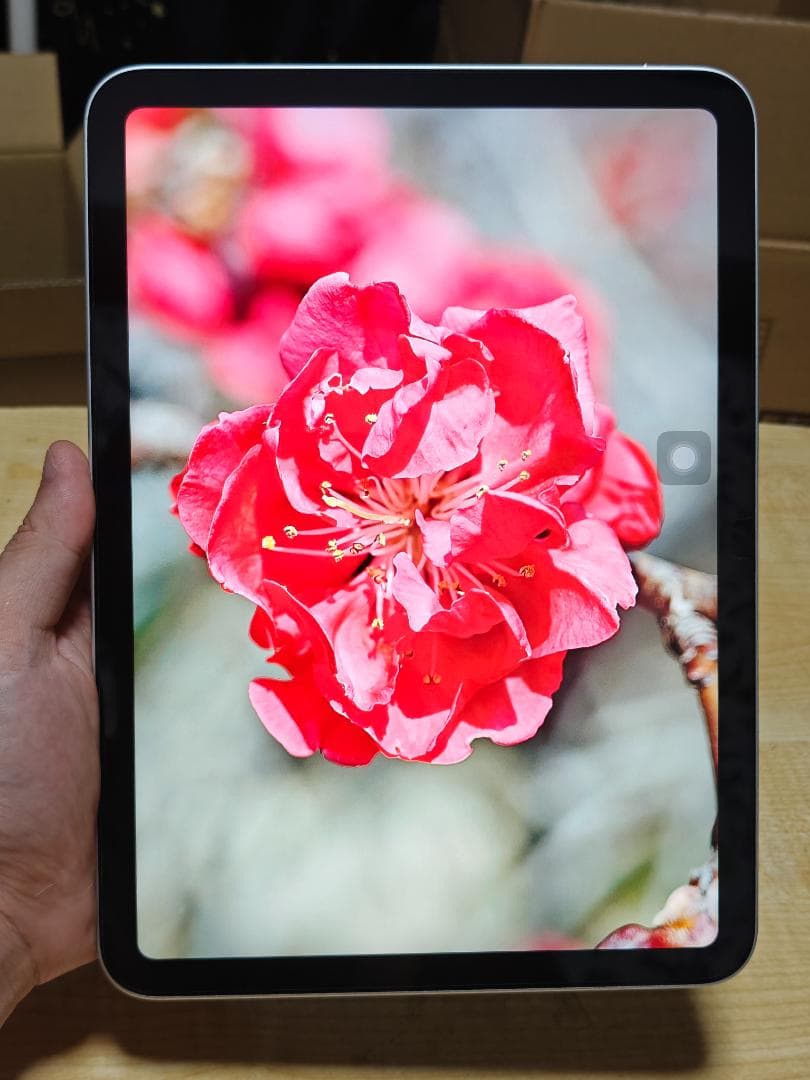 Apple iPad (第10世代) Wi-Fi モデル シルバー