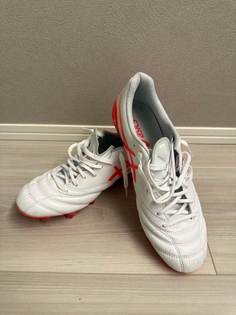 DS LIGHT X-FLY 6 26センチ